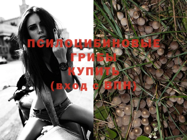 apvp Вязьма