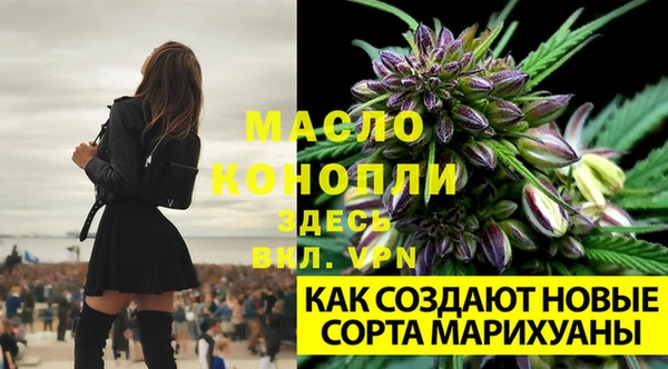 apvp Вязьма