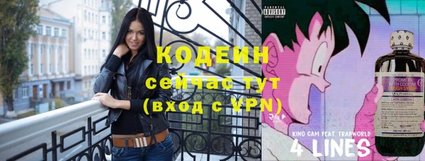 apvp Вязьма